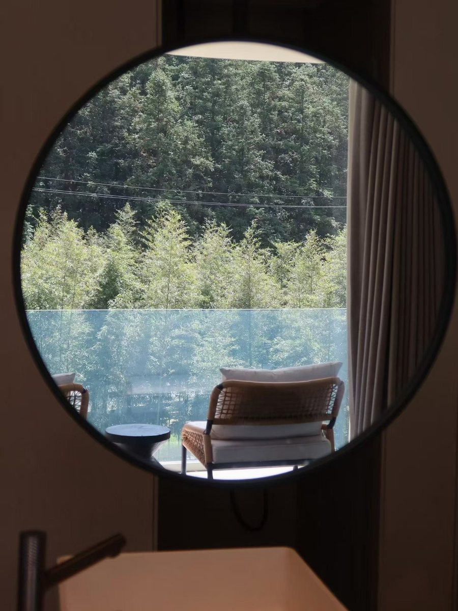房间窗外竹林景色